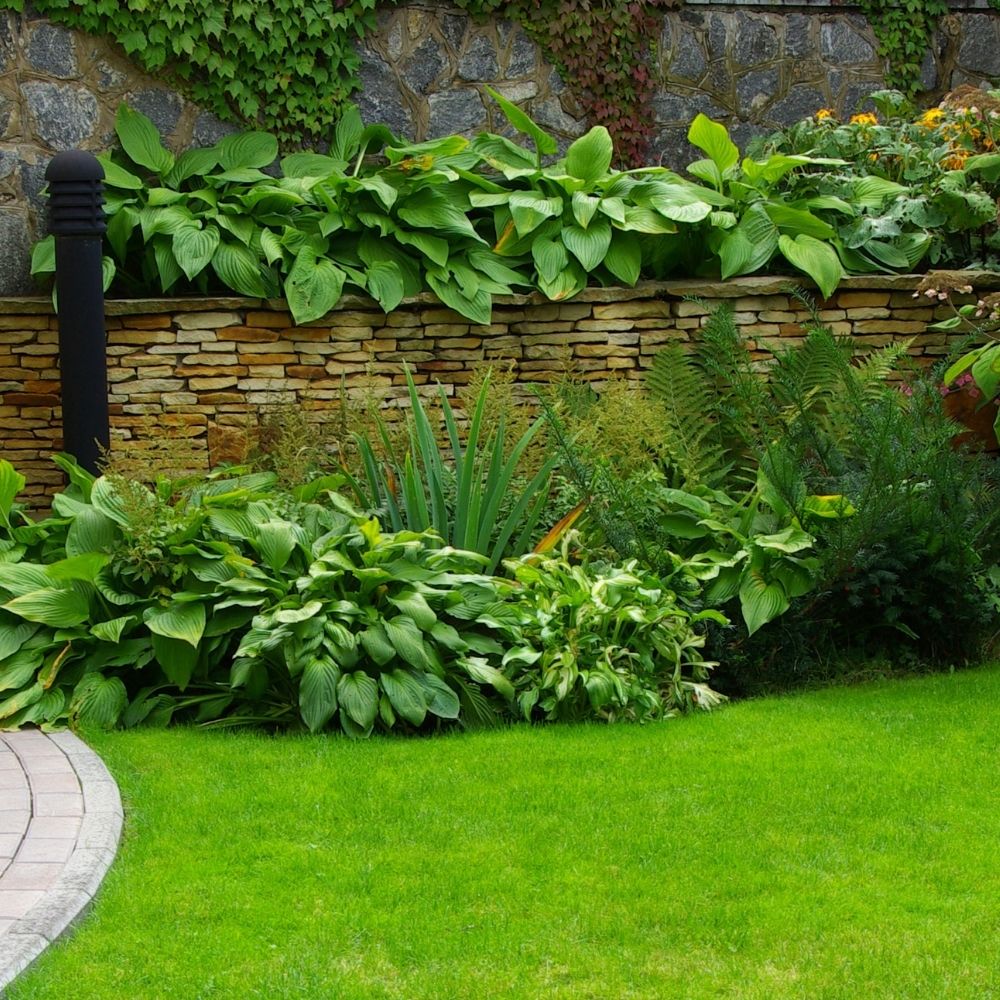 Az ideális kert kialakítása